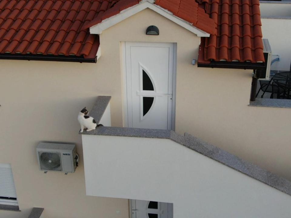 Silva Apartment Vodice
